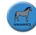 logo3