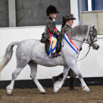 Novice Ridden Champ Spring 24